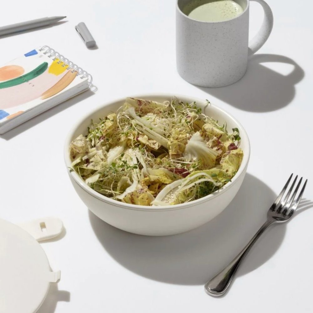 NIB W&P Porter Ceramic Lunch Bowl - Picture 5 of 7